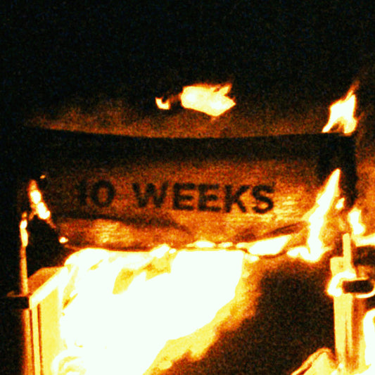 10 WEEKS
